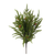 20.5" Norfolk Pine Bush with Mini Cones (Soft Touch)