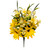 Yellow / Butter African Daisy Bush