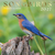 16-Month 2027 Wall Calendar - Songbirds