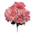 Pink Peonies