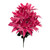 Beauty Pink Wild Dahlia Bush