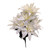 Cream Wild Dahlia Bush