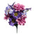 Shades of Purple Dahlia Poppy Bush