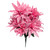 Pink Wild Dahlia Bush