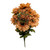 Dusty Peach Brown Zinnia Bush