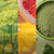 Matcha Zest - 10oz - WoodWick
