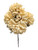 Creamy Beige Ball Mums 