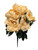 Almond Bartzilla Peony Bush