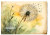 Rice Paper - Dandelions Decoupage A4