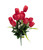 Tulip Bush - Choose From an Assortment of Colors