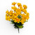 Yellow Cosmo Blossoms