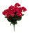 Red Geranium Bush