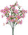 Pink Delphiniums Blossoms
