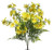Mini Star Yellow  Daisies