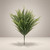 22" Button Fern / Bead Grass Bush - Variegated Green