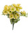 Butter Yellow Zinnia Bush
