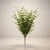 22" Boxwood Bush - Green