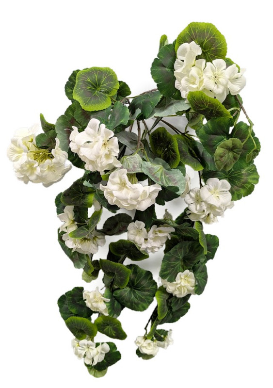 28" Cream Geranium Hanging Bush