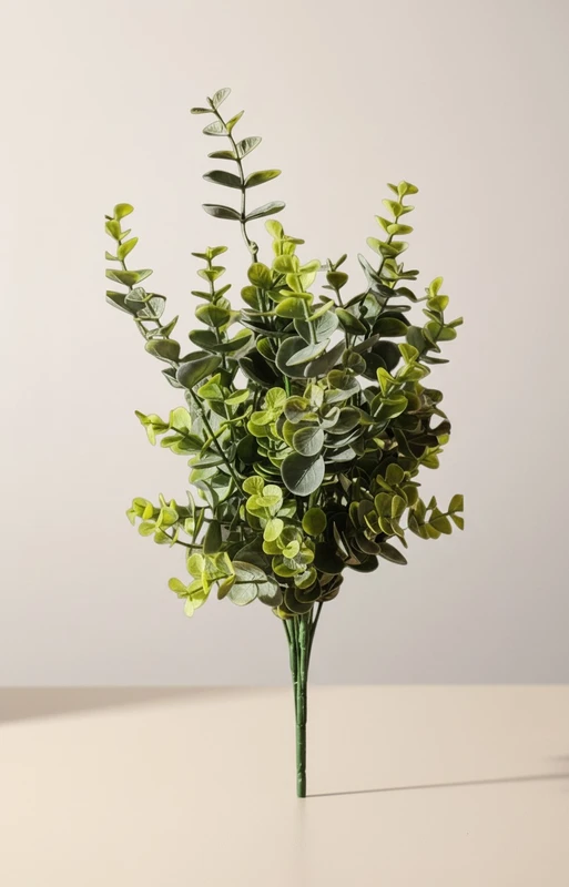 17" Eucalyptus / Button Bush