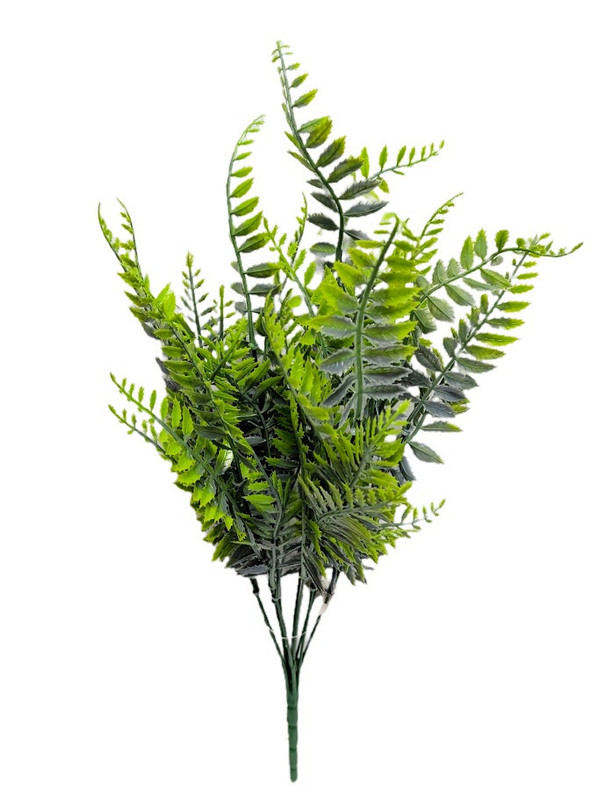 19" Fern Bush