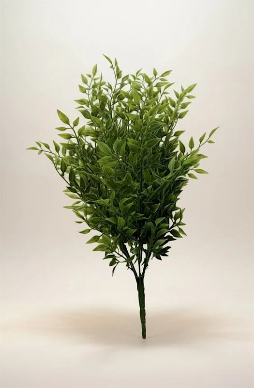 Smilax Greenery Bush