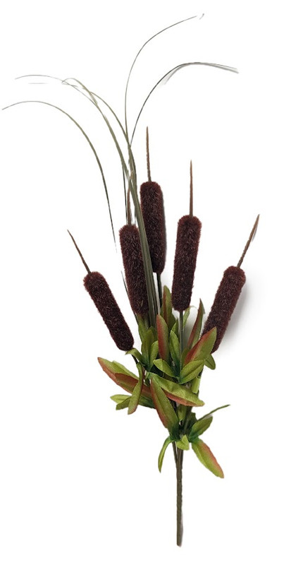 Brown Cattail Bush