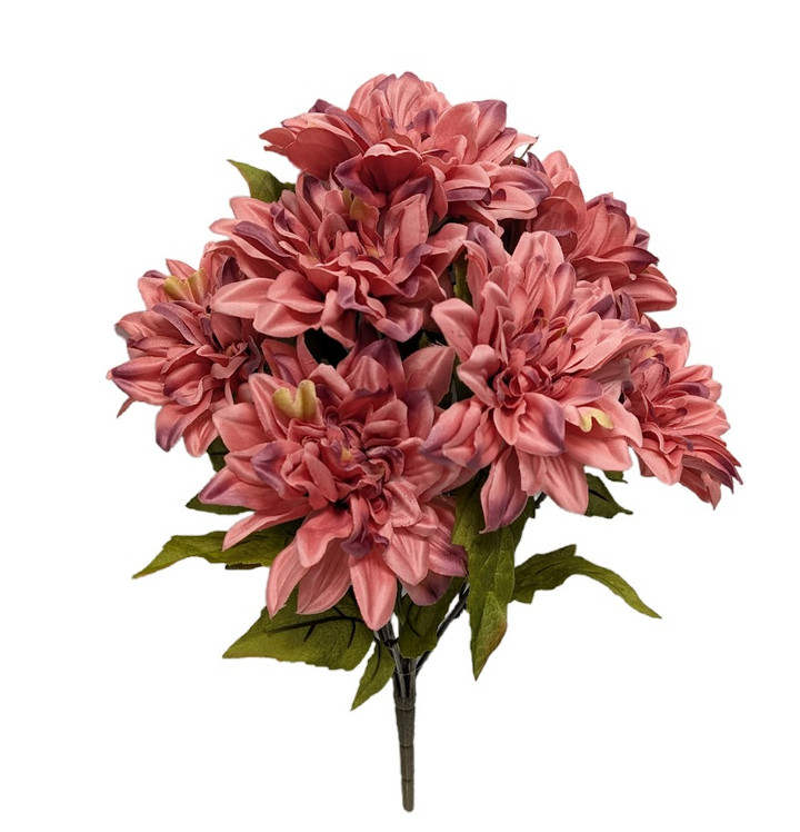 Mauve Dahlia Bush Mauve Dahlia Bush