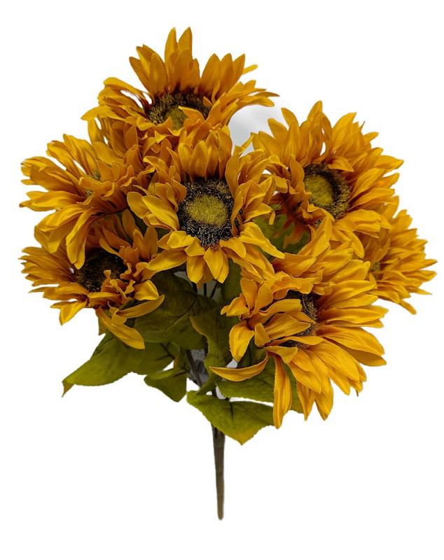 Gold Sunflower Bush