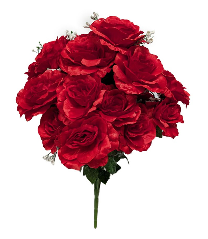 Red Full Blooms Open Rose Bush with Baby's Breath