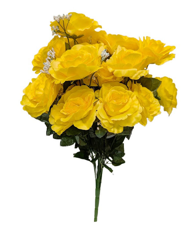 Yellow Full Blooms Open Rose Bush with Baby's Breath
