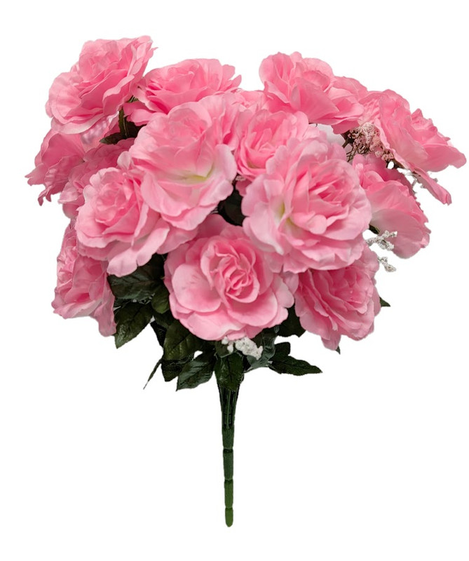 Pink Full Blooms Open Rose Bush with Baby's Breath