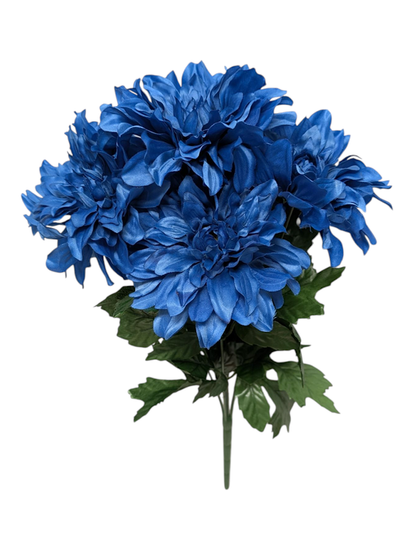 Cobalt Blue Dahlia Bush