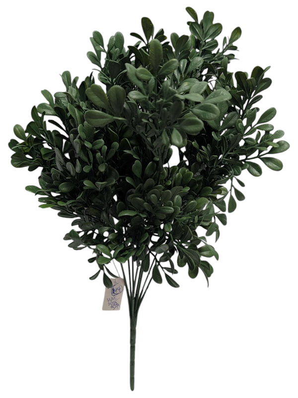 Green Boxwood Bush