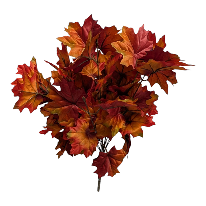 Orange Rust Maple Leaf Bush