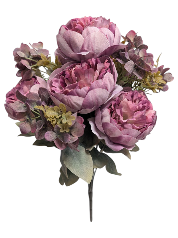 Lilac  Hydrangea Peony Bush