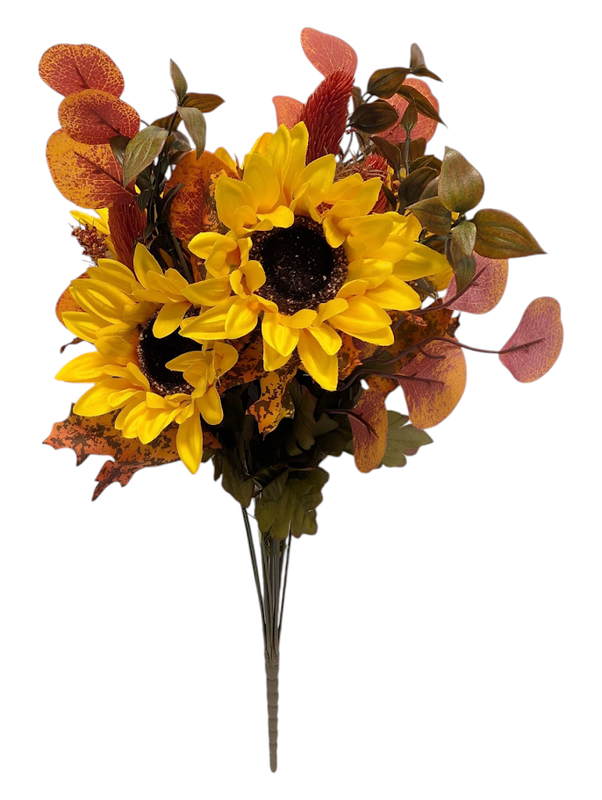 Sunflower Maple Leaf Bush 