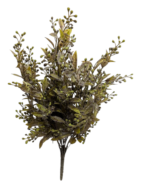 Rustic Olive Tea Leaf Bush
