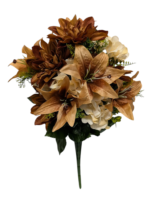 Toasty Sienna Dahlia Lily Hydrangea Bush