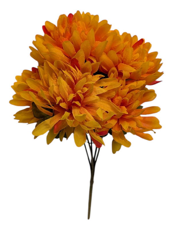 Small Golden Orange Mums