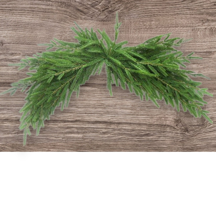 32" Norfolk Pine Swag