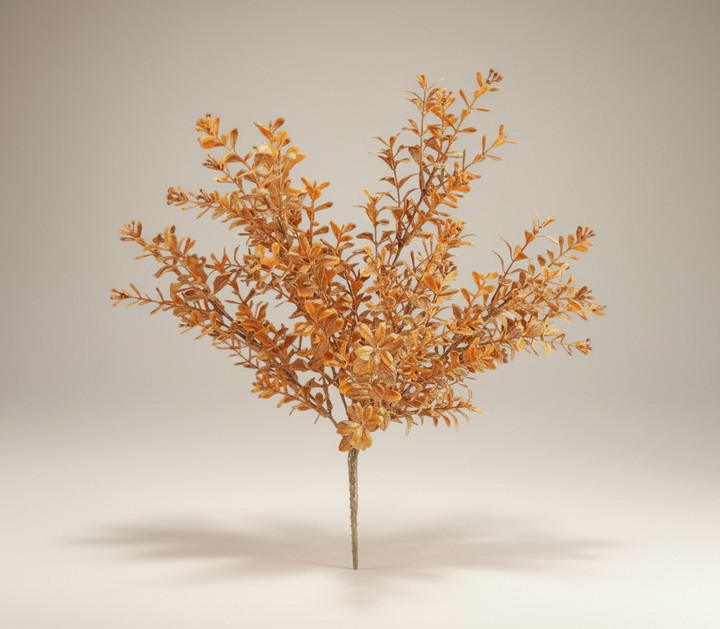 Boxwood Bush - Orange/Brown