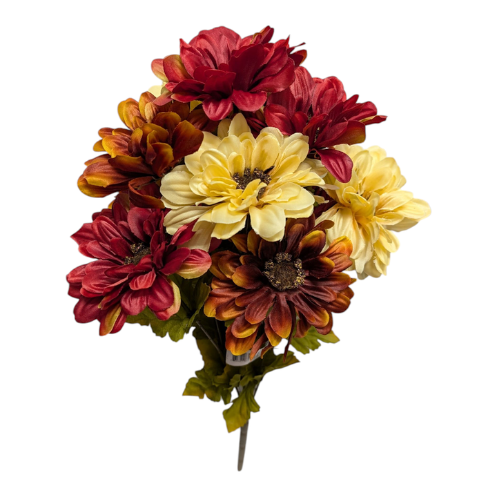 Gerber Daisy Bush - Burgundy & Cream