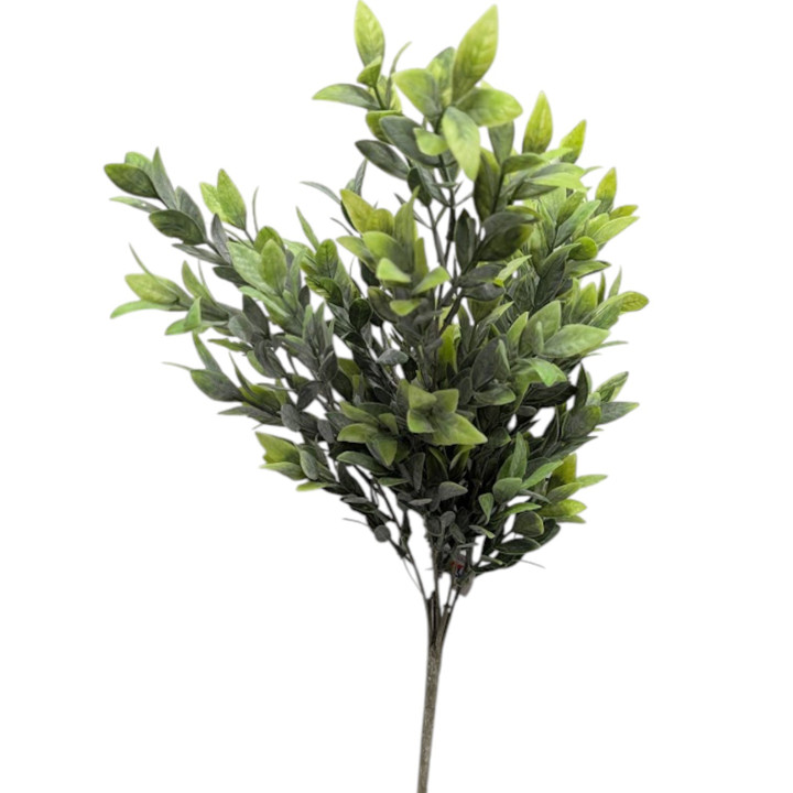 21" Ruscus Bush