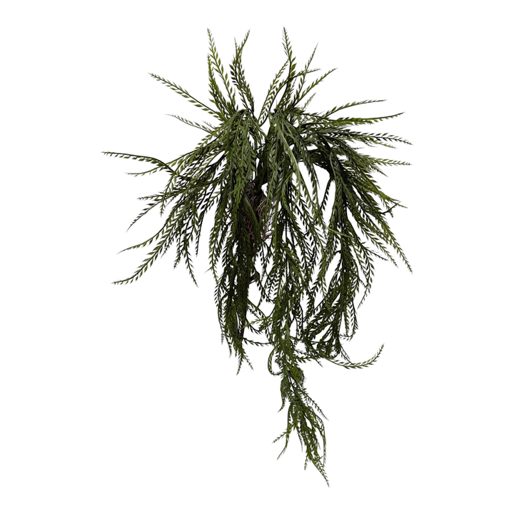 Dark Green Willow Hanging Plant