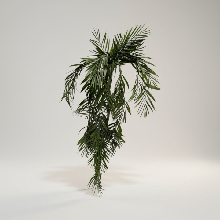 Long Leaf Hanging Bush