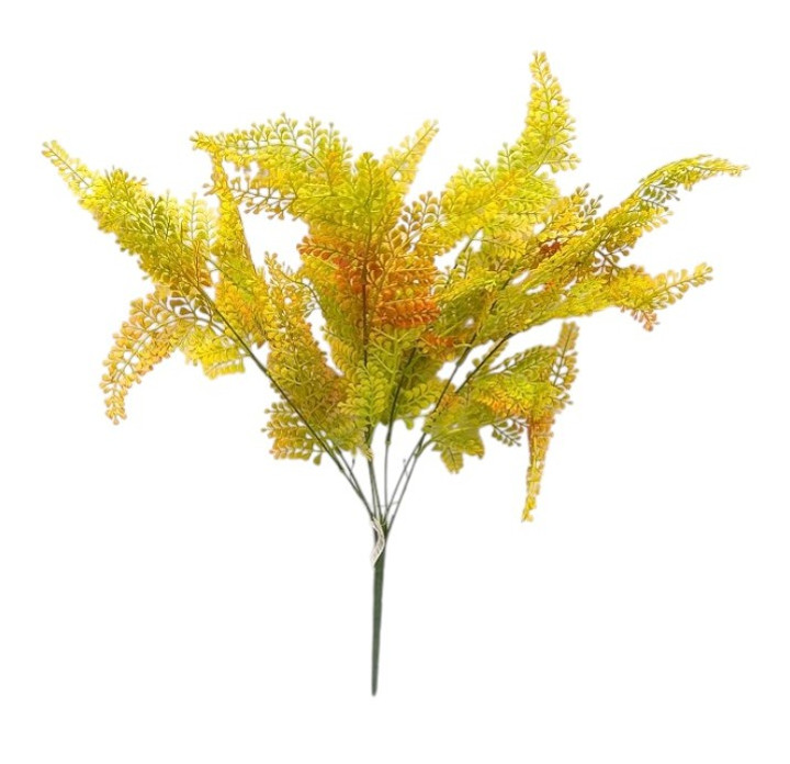 Maiden Hair Bush - Orange/Yellow