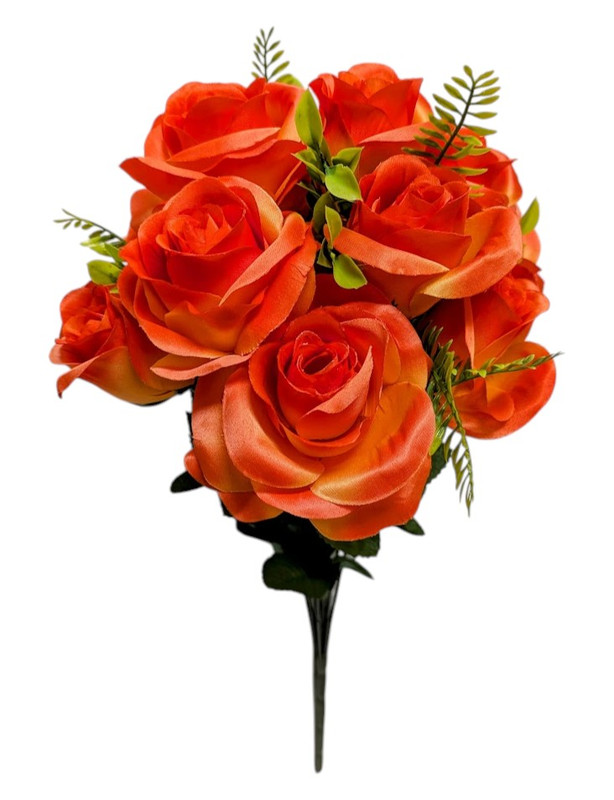 Shades of Orange Rose Bush