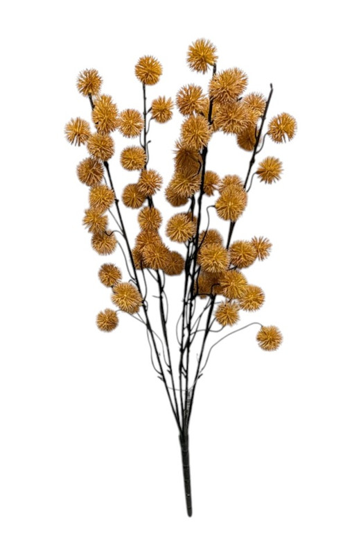 Fall Thistle Bush
