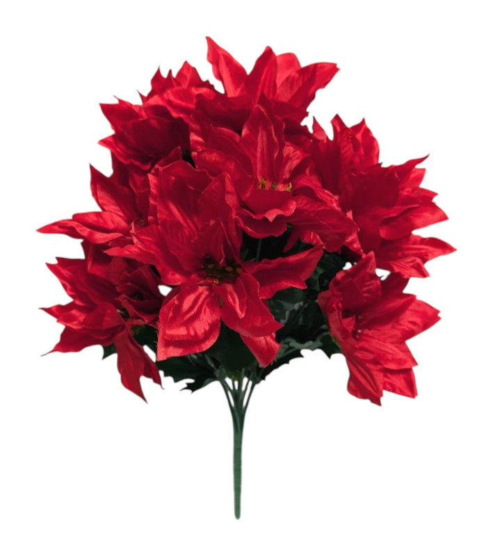 Crinkle Red Poinsettia Bush