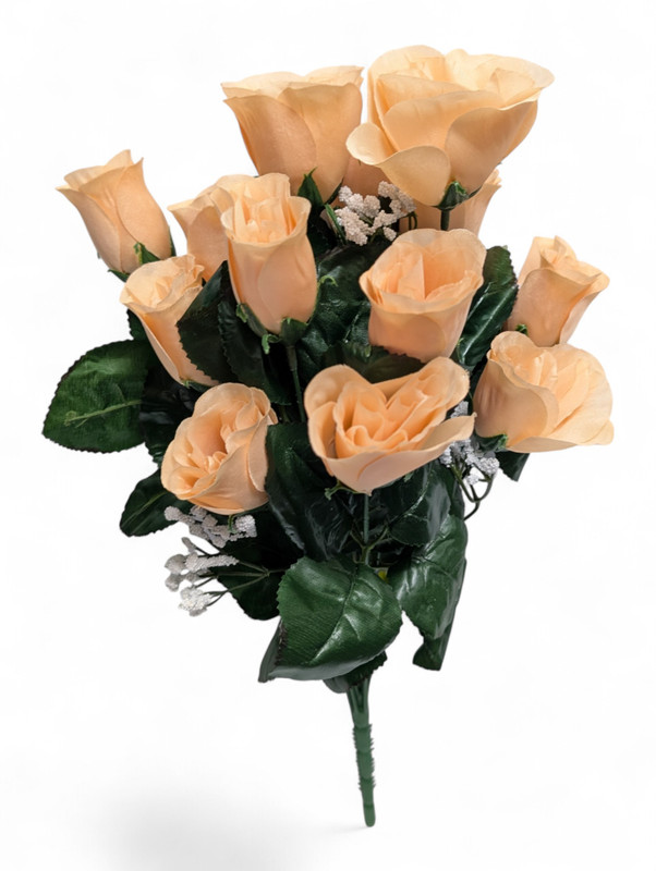 Colorfast Lillian Rose Bud Bush - Wheat